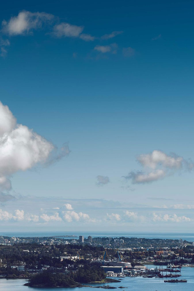 Victoria Real Estate Marketing Trends 2025